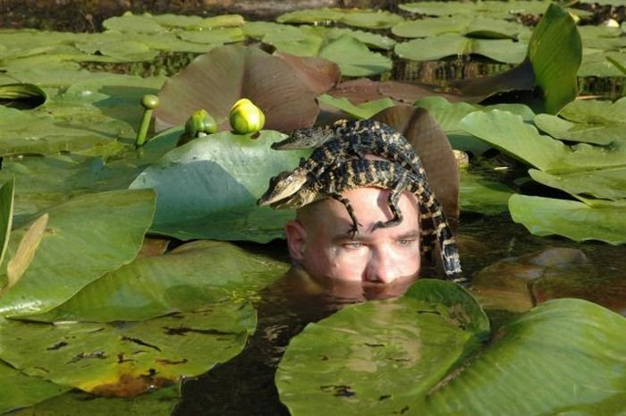 ���������