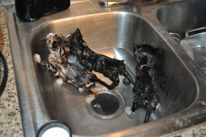 ���������