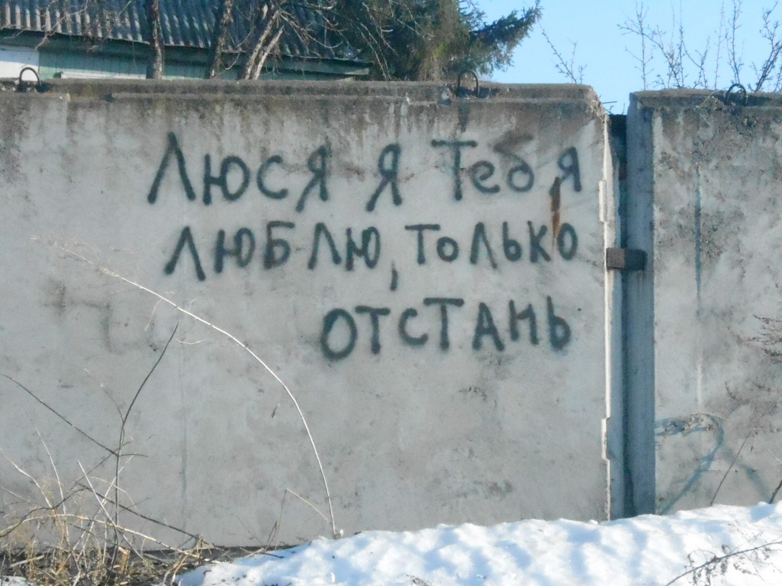 ���������