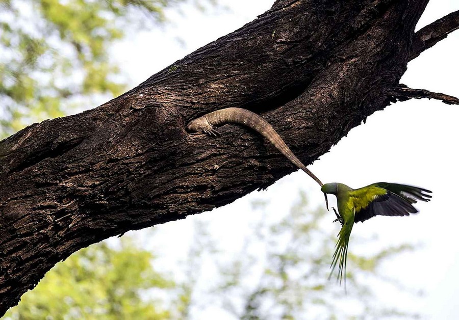 ���������