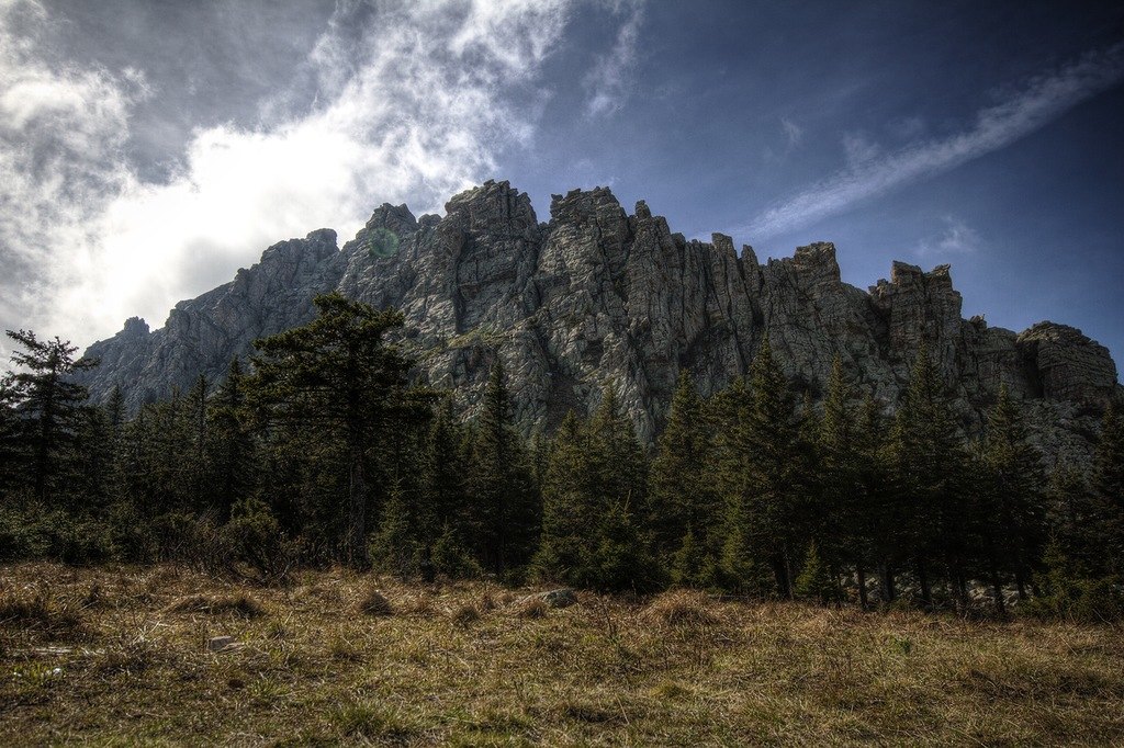 ���������