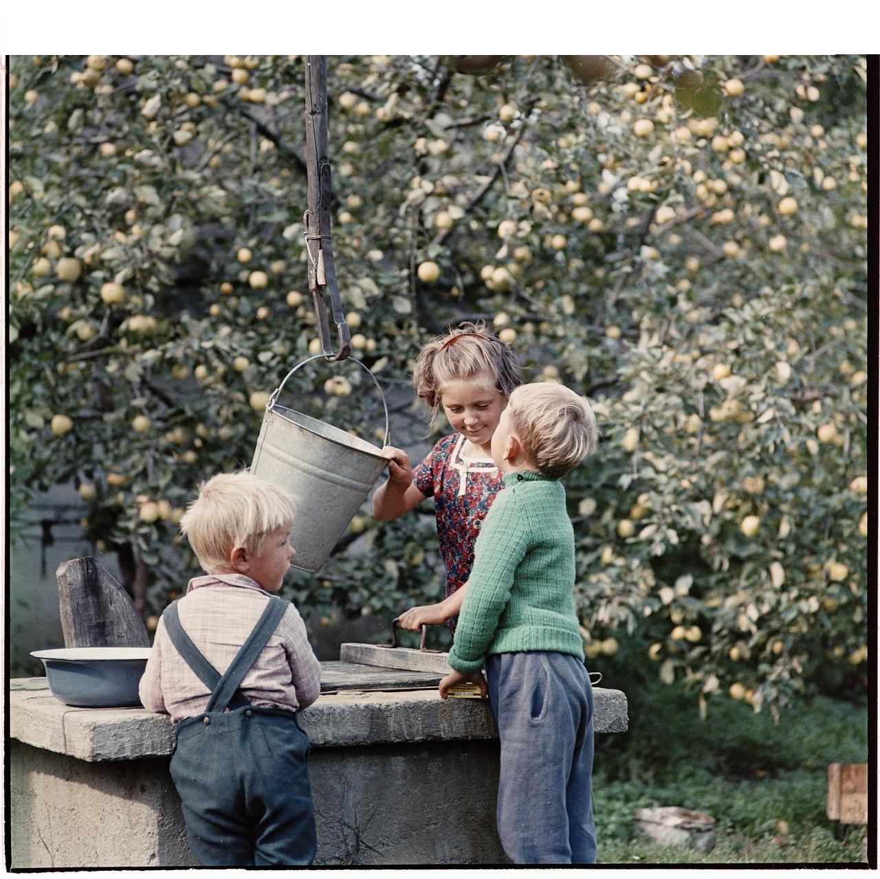 ���������