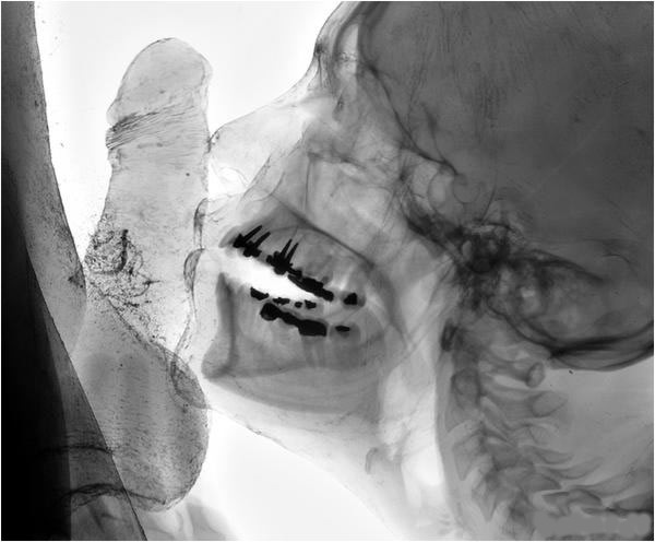 Желідегі порно егіздер