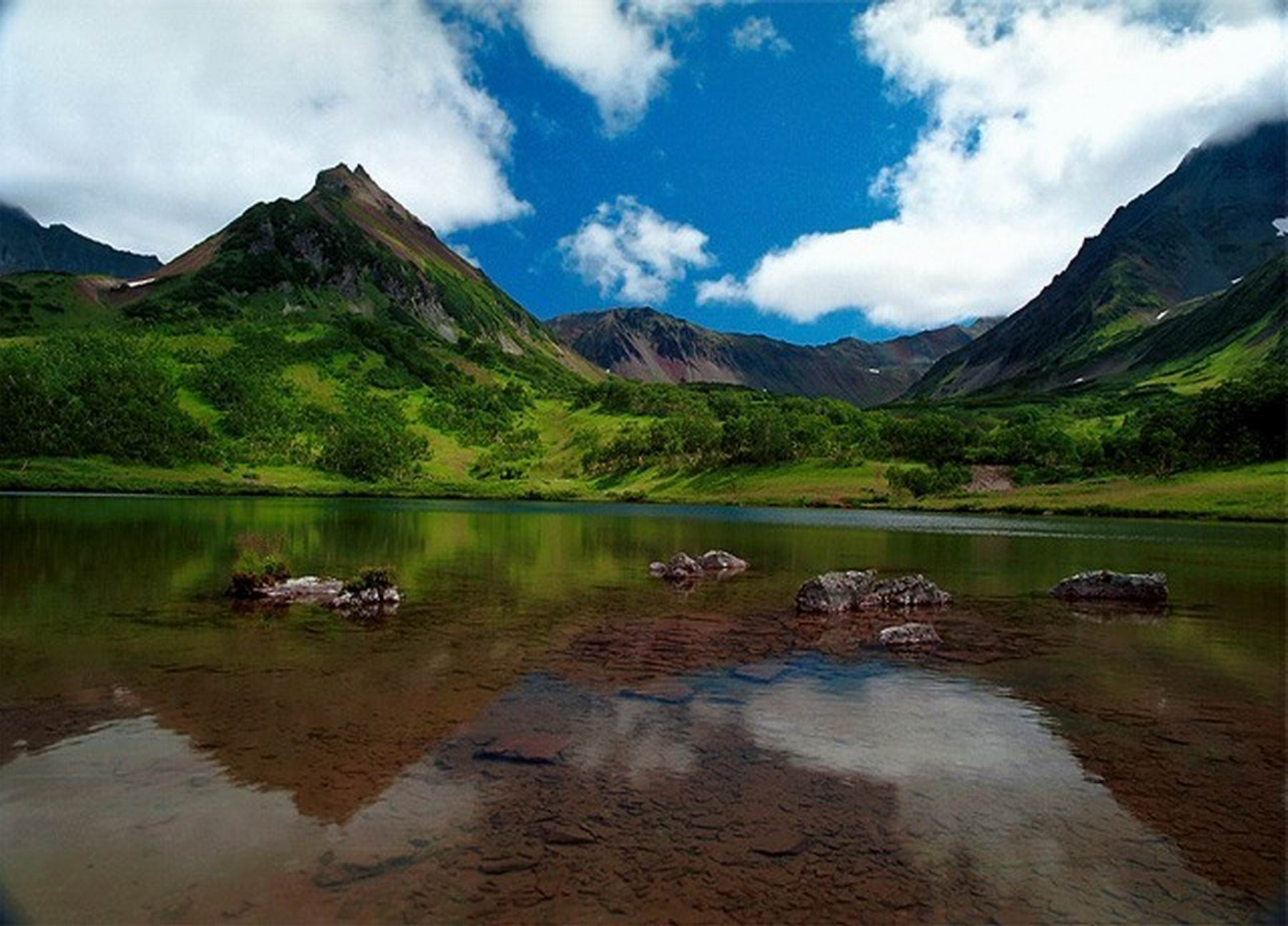 ���������