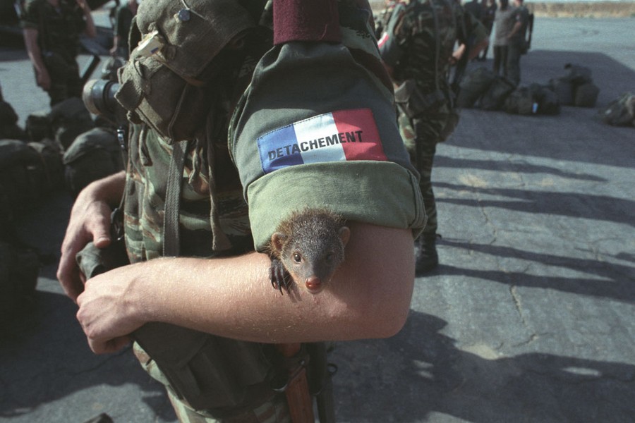 ���������