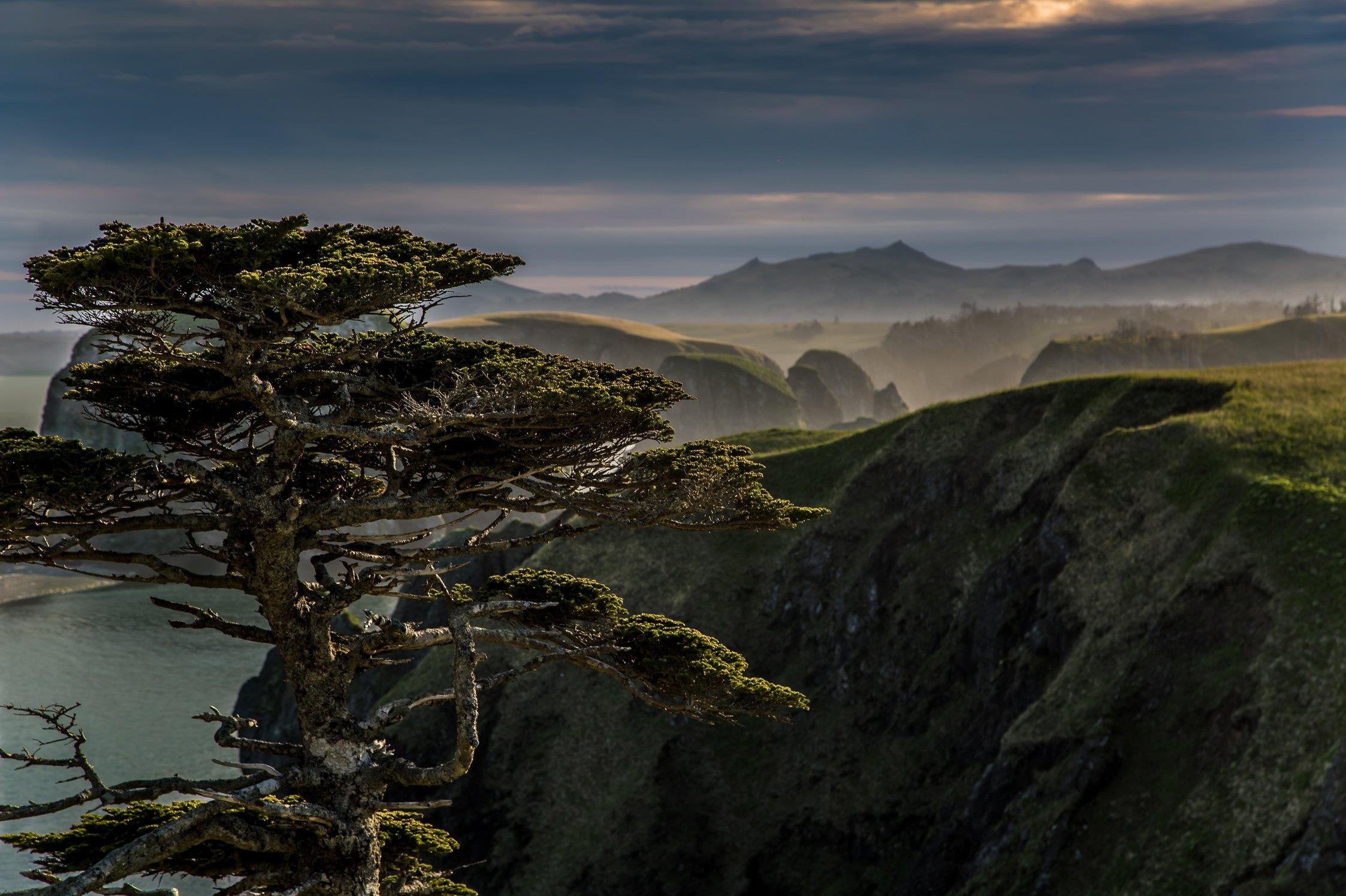 ���������