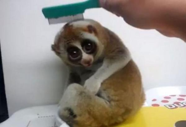 ���������